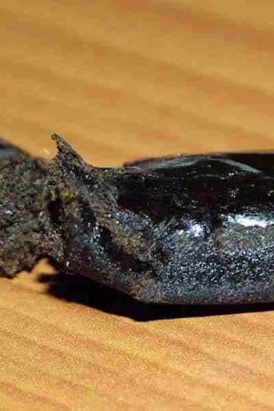 Sticky Nepalese hashish Online EU