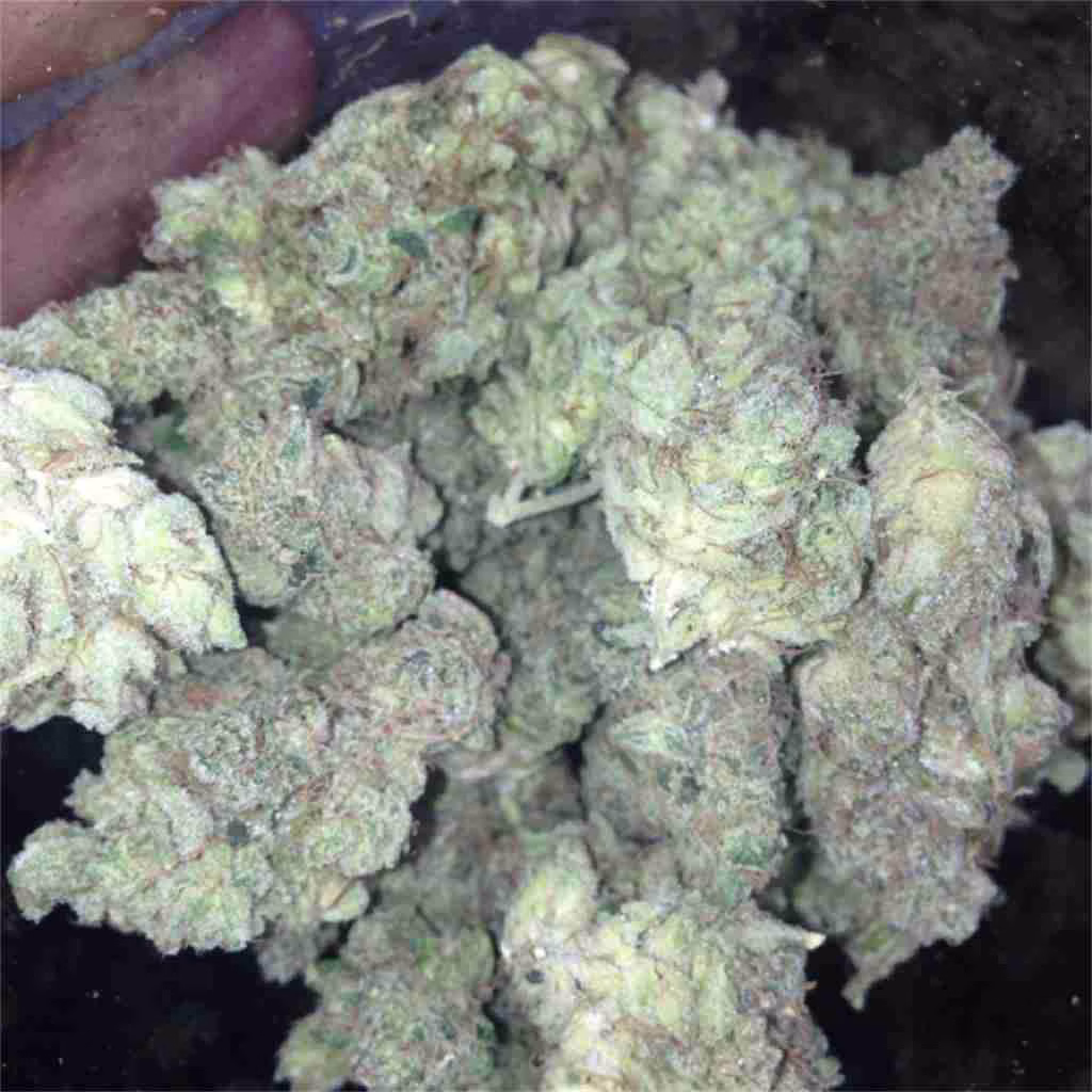 Banana OG Marijuana Strain