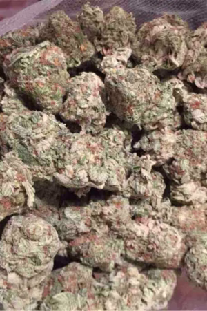 Blackberry Marijuana Strain Online