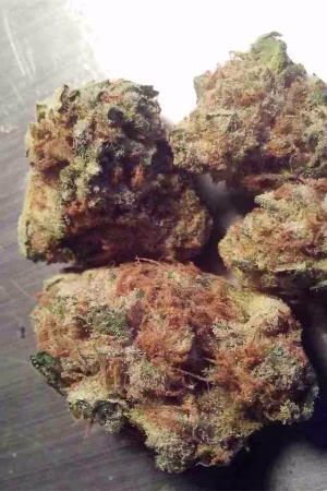 Deadhead OG Weed Strain Online
