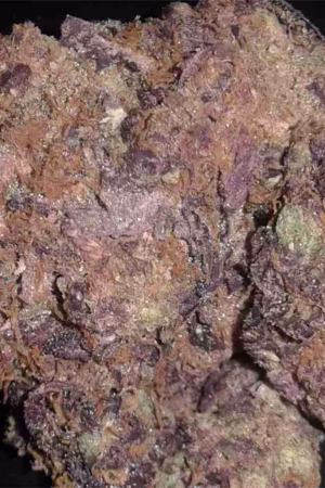 Kandy Kush Strain Online