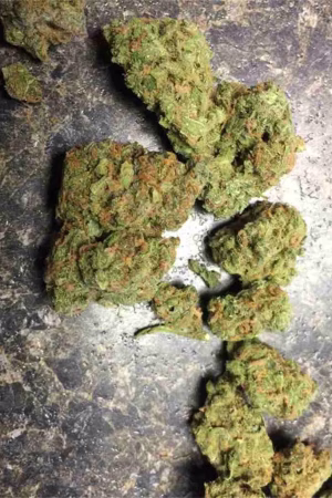 Space Queen Weed Strain
