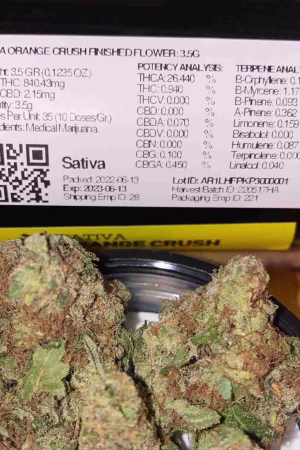 Buy Orange Crush Strain Online