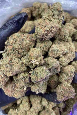 Buy Snowcap Weed Strain Online