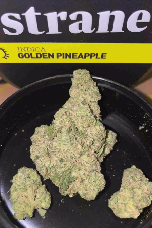 Golden Pineapple Strain Online