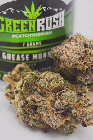 Grease Monkey Weed Strain Online