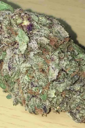 Jack Frost Strain Online