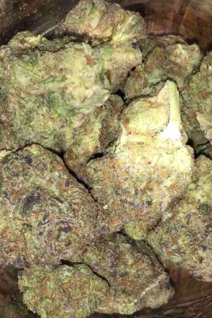 Orange Cookies Strain Online