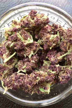 Purple Diesel Strain Online