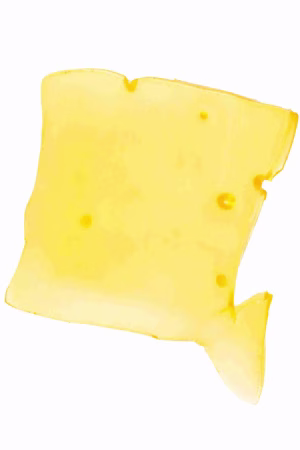 Purple Haze Shatter