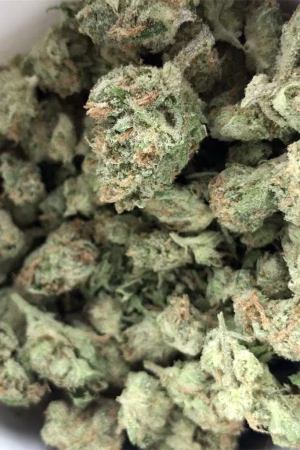 Grapefruit Marijuana Strain Online