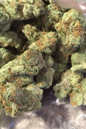 Lemon Meringue Weed Strain