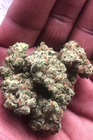 Red Headed Stranger Strain