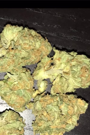 Sour Tangie Cannabis Strain
