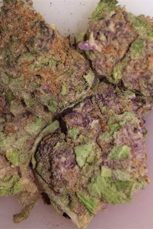 Super Sour Diesel Strain