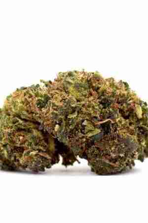 Cheese Delta 8 Marijuana Flower