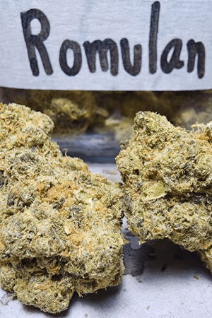 Romulan Weed Strain Online