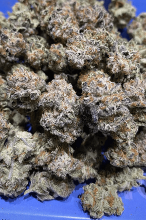 Platinum OG Strain Online