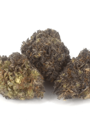 9 lb Hammer Strain Online