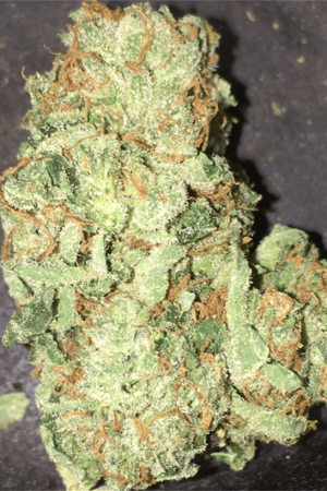Jesus OG Cannabis Strain