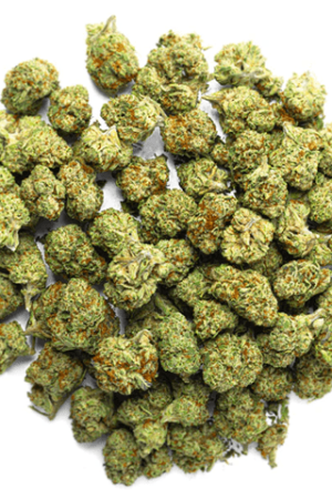 Raspberry Kush Strain Online