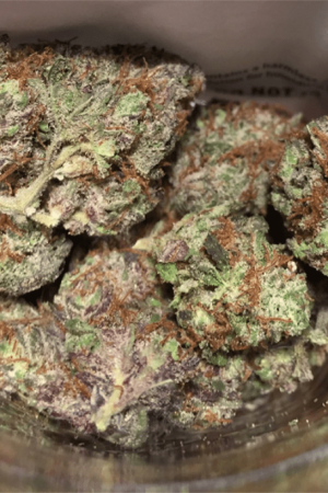 Herijuana Cannabis Strain