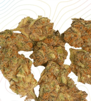 Slurricane cannabis Strain Online