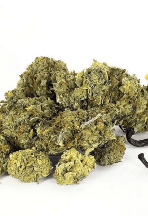 Vanilla Kush Strain Online
