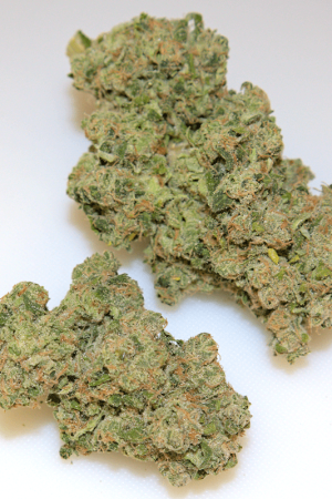 Super Skunk Cannabis Strain